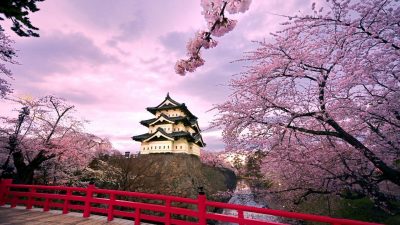 Онлайн  Японски за начинаещи  N5 с японски преподавател от 18 и 21 януари 2023